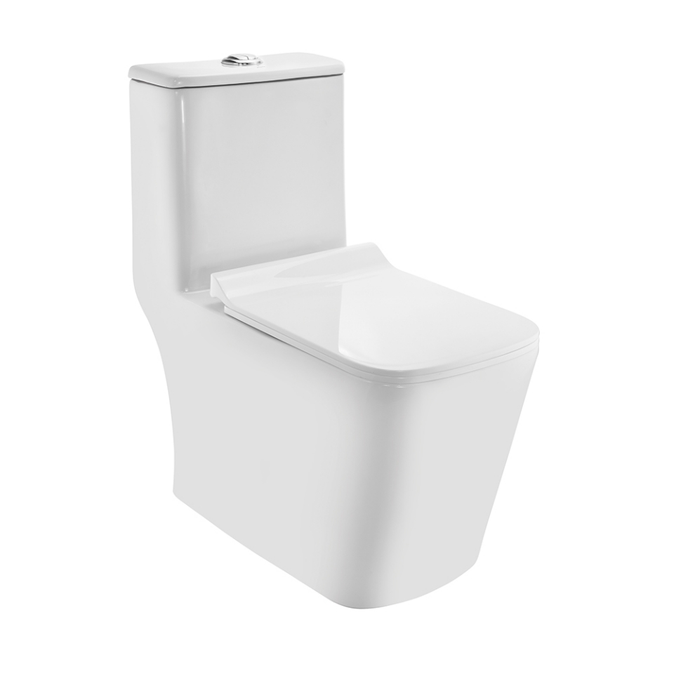 Picture of रिमलेस सिंगल पीस WC